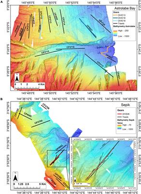 When Imagery and Physical Sampling Work Together: Toward an Integrative Methodology of Deep-Sea Image-Based Megafauna Identification